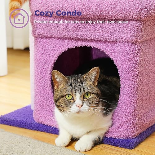 Miniatura 23 de PEQULTI Torre de árbol para gatos de interior con condominio privado acogedor para gatos, postes rascadores de sisal natural y pompón de felpa