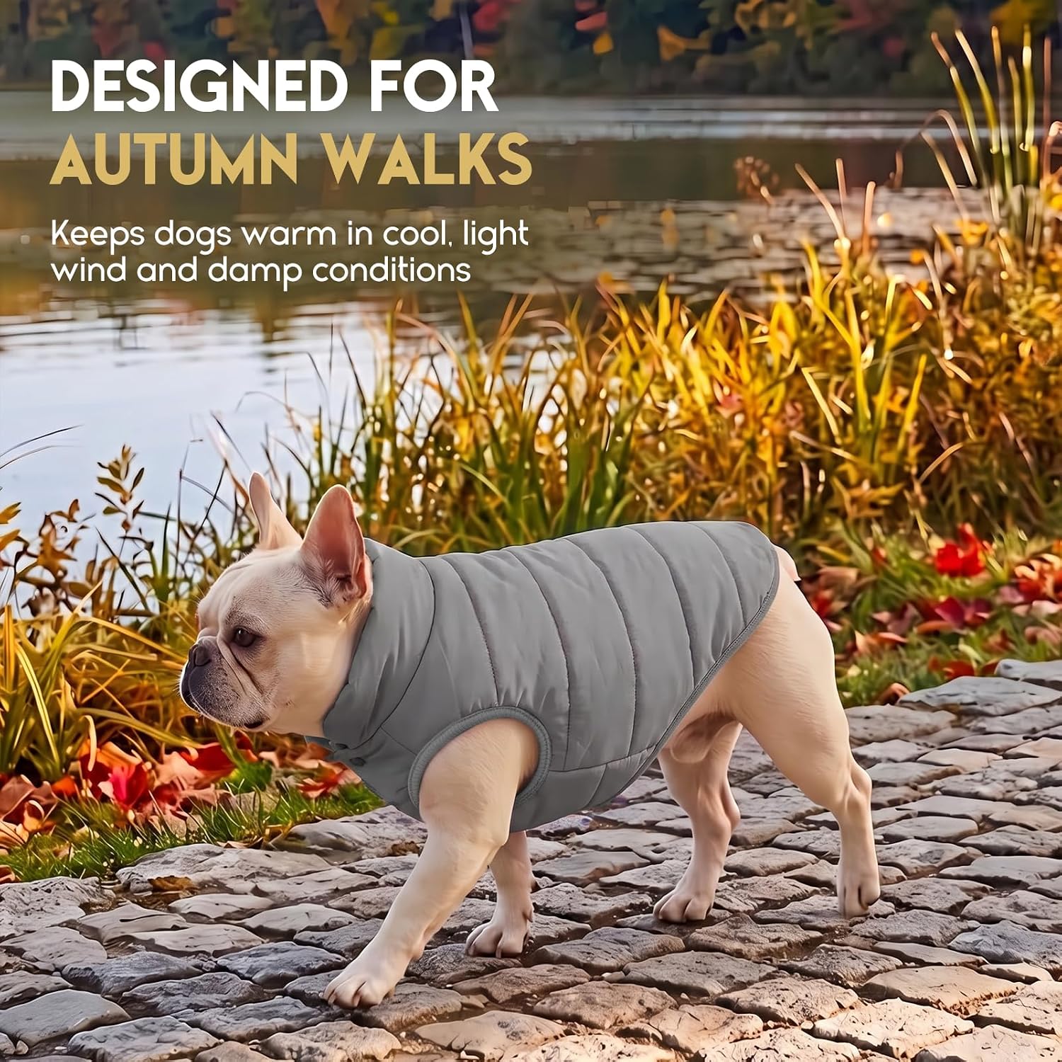  Dog Winter Coat Dog Fleece Puffer Jacket for Small Medium Large Dogs thumbnail