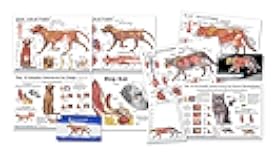 Blue Tree Publishing Dog and Cat Anatomy Education 10 piece Set, Cards, Pocket Charts, and Note Pad for Veterinarians, students and sales staff.
