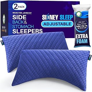 Sidney Sleep Set of 2 Queen Size Bed Pillows for Side and Back Sleepers - Adjustable Filling - Memory Foam Pillows for Neck and Shoulder Pain - Customizable Loft - Extra Foam Included (Blue)