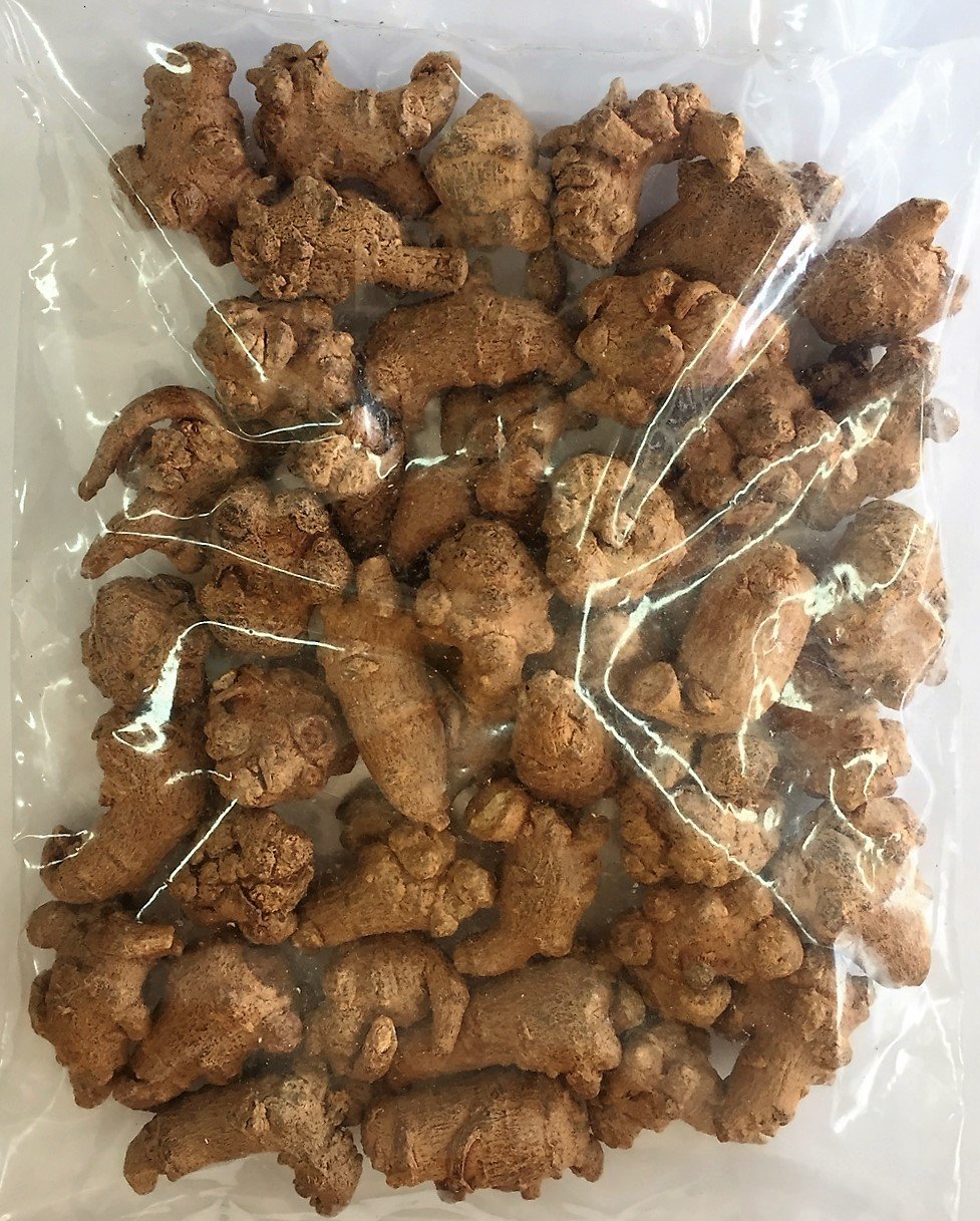 Amazon.com: Panax Notoginseng Tian Qi (San Qi) Root, Top Grade