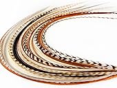 21 Natural Color Hair Extensions – 9”–14” Long – DIY Rooster Kit with 20 Micro-Link Beads – 100% Real Feathers – Eye-Catching Boho Style