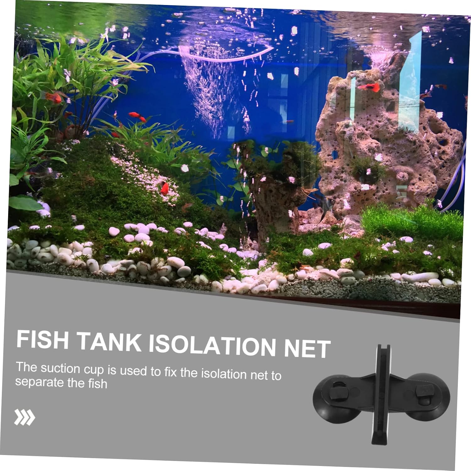 5pcs Aquarium Divider Cups Easy to Install Fish Tank Clips for Glass Isolation Clamps for Tank Heating Divider for Freshwater Decor