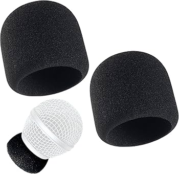 Amazon.com: RhymKawa Microphone Capsule Inside Windscreen Foam