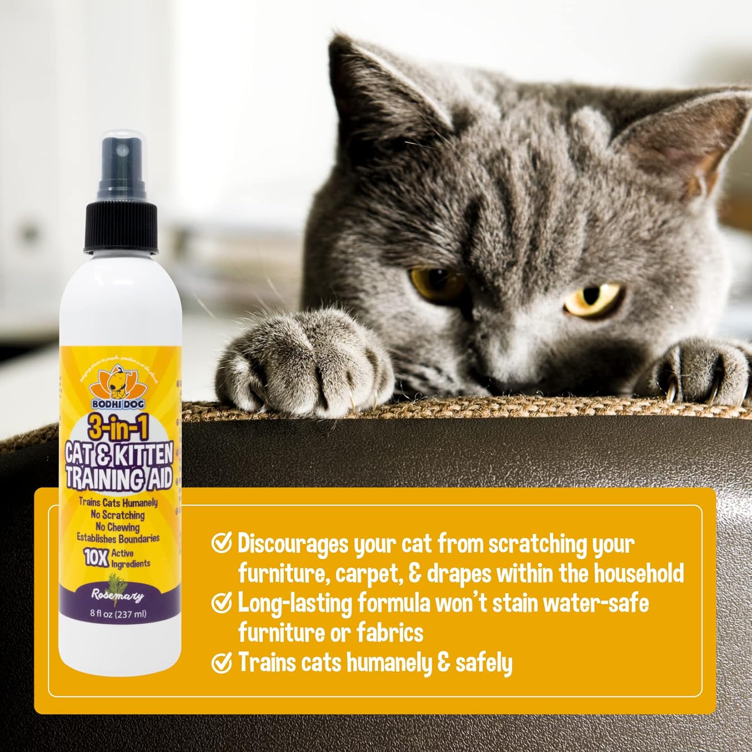 3-in-1 Cat & Kitten Training Aid with Bitter | Cat Training Spray for Indoor and Outdoor Use | Anti Scratch Furniture Protector | Establish Boundaries & Keep Cat Off | Made in The USA (8oz) : Pet Supplies