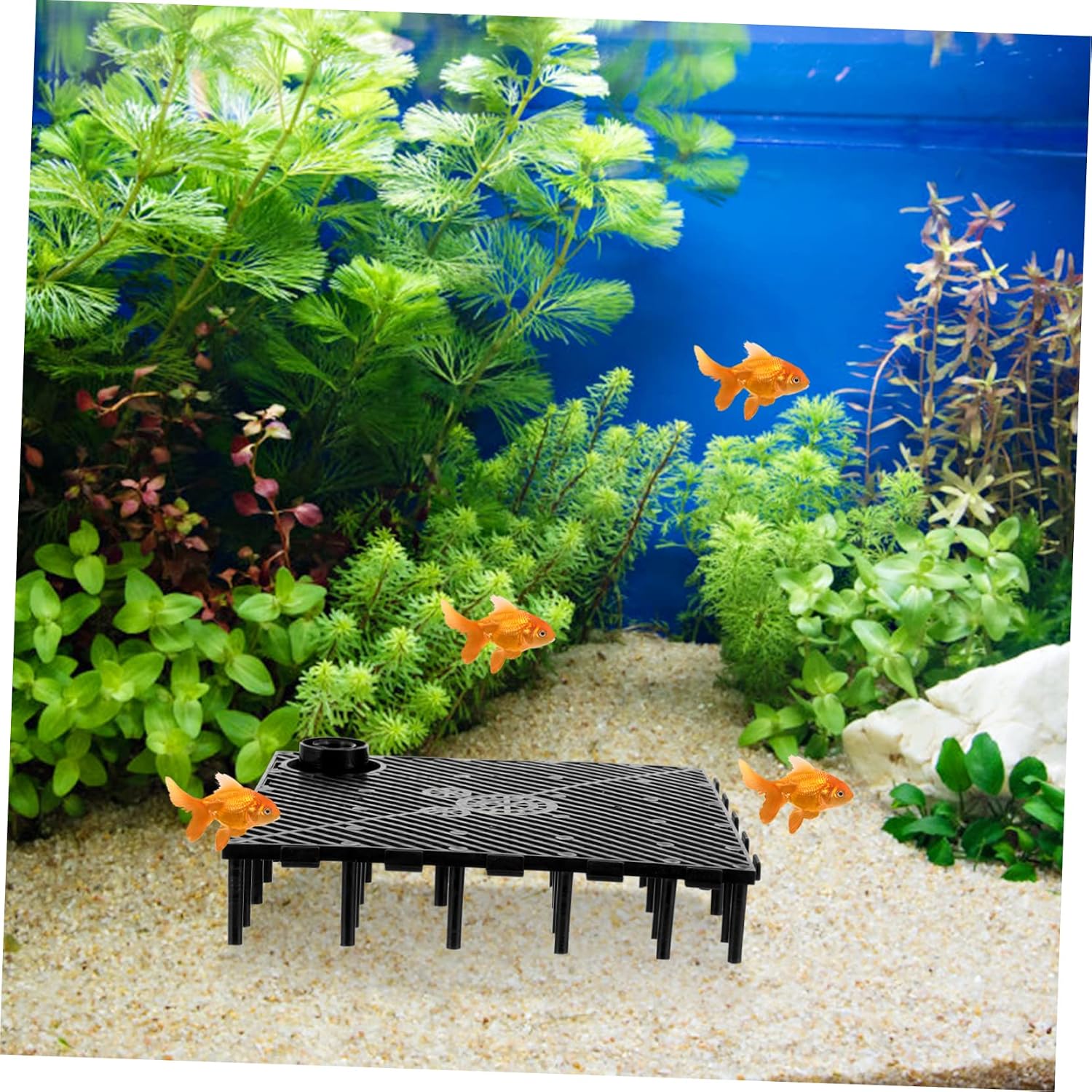 Toddmomy 1 Set Fish Tank Divider Isolation Boards with Splicing Tube Flexible Aquarium Separator for Custom Layouts for Breeding and Landscaping