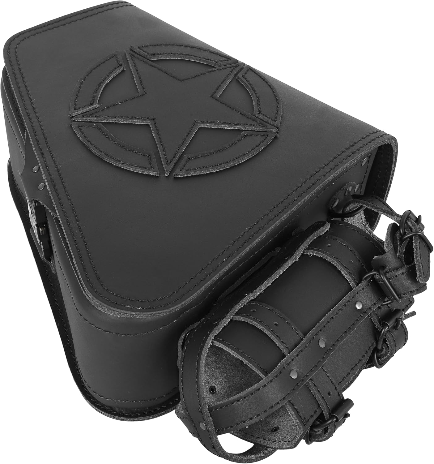 Diva Blackline left Swing Bag compatible with Harley Davidson Sportster from 2004 to today 883 / 1200, Super Low, Roadster, Iron, Forty-Eight (48), Seventy-Two, Custom and XL, Side bag, Swingarm Bag