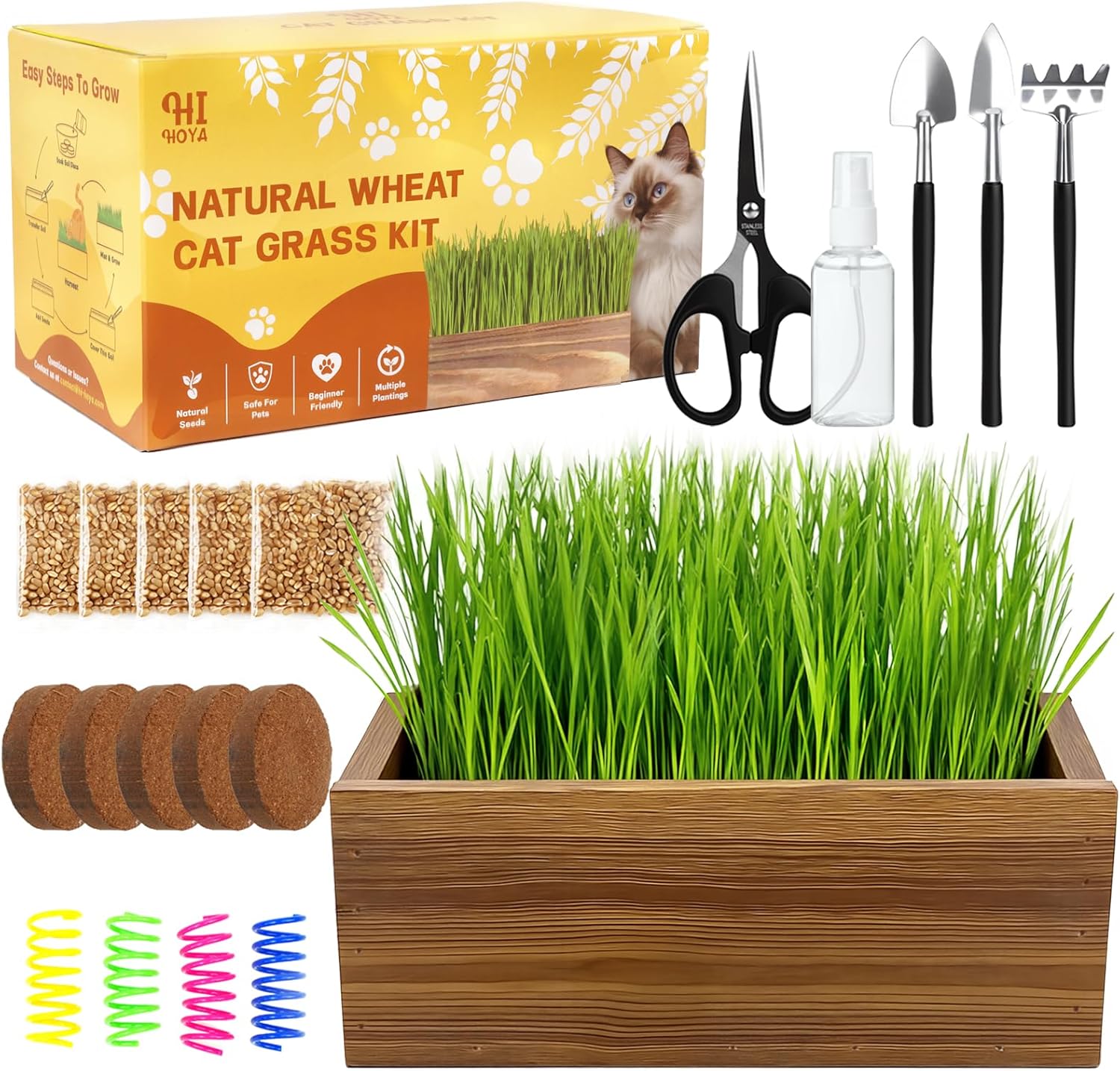 Cat Grass Kit for Indoor Cats with Wooden Planter - 5 Pack Cat Grass & 5 Coconut Soil, Complete Planting Tools, Water Sprayer, Scissors, Bonus Cat Gifts - Natural Wheat Grass for Hairball Control