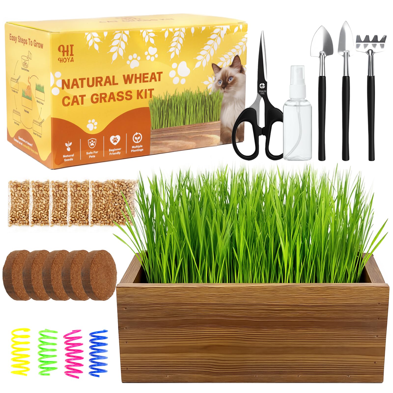 HiHOYA Cat Grass Kit with Wooden Planter