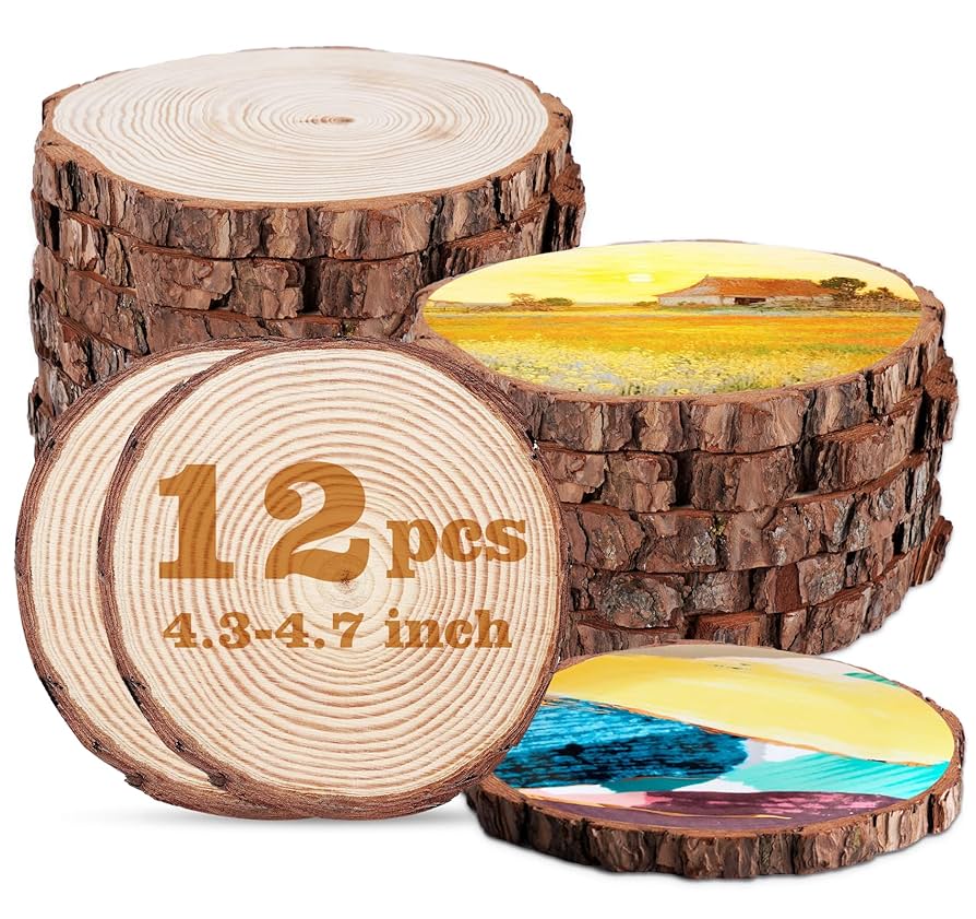 12 Holzscheiben Aus Kiefernholz - Natürliche Baumscheiben 11-12cm Für DIY Deko