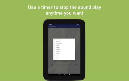 Bumble Bee Sound – vue 4