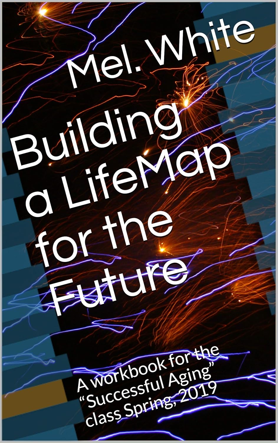Building a LifeMap for the Future: A workbook for the “Successful Aging ...
