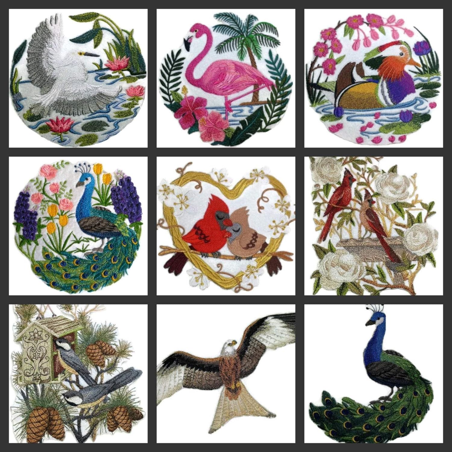 BeyondVision Nature Weaved in Threads, Amazing Birds Kingdom [Peacock] [Custom and Unique] Embroidered Iron on/Sew Patch [6.87" *8"] [Made in USA]