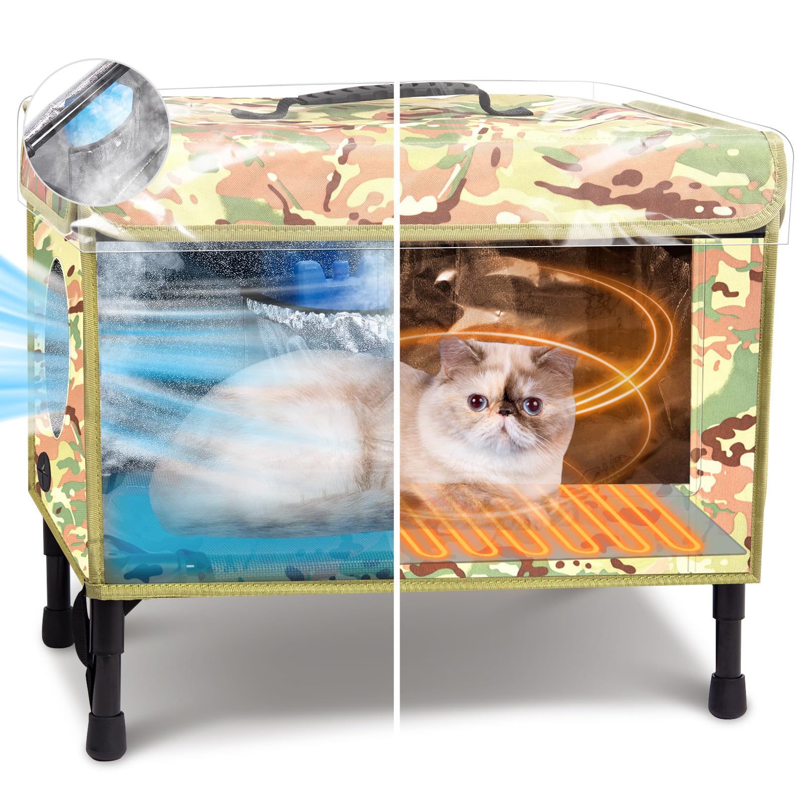 Feral Kittens Stray Cat In Backyard Feral Cat Indoor Kittens For