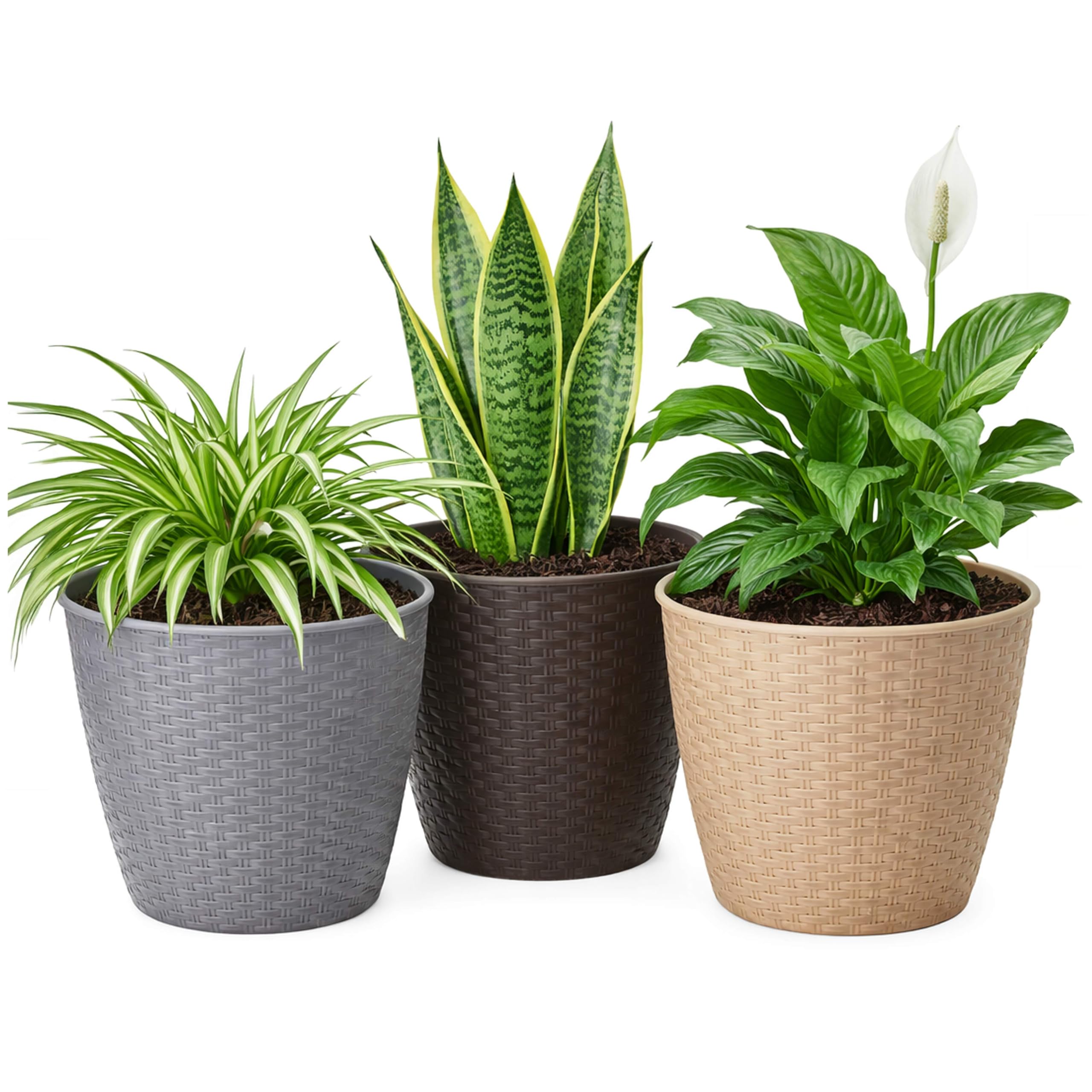 Adeptna Grey, Brown, Beige Pack Of 3 Rattan Plant Pots Plastic Wicker Style Planters With Drainage Holes Lightweight Durable Flower Plant Pots For Indoor Outdoor Garden Patio Balcony Home Décor
