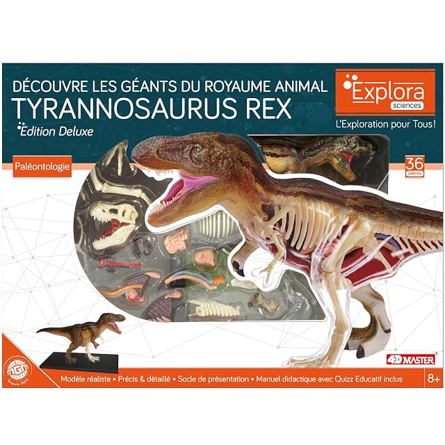 Foto 2 de 5 de EXPLORA - T-Rex - Paleontología - 546092-36 Piezas - Instrucciones de Ensamblaje y Cuestionario Educativo