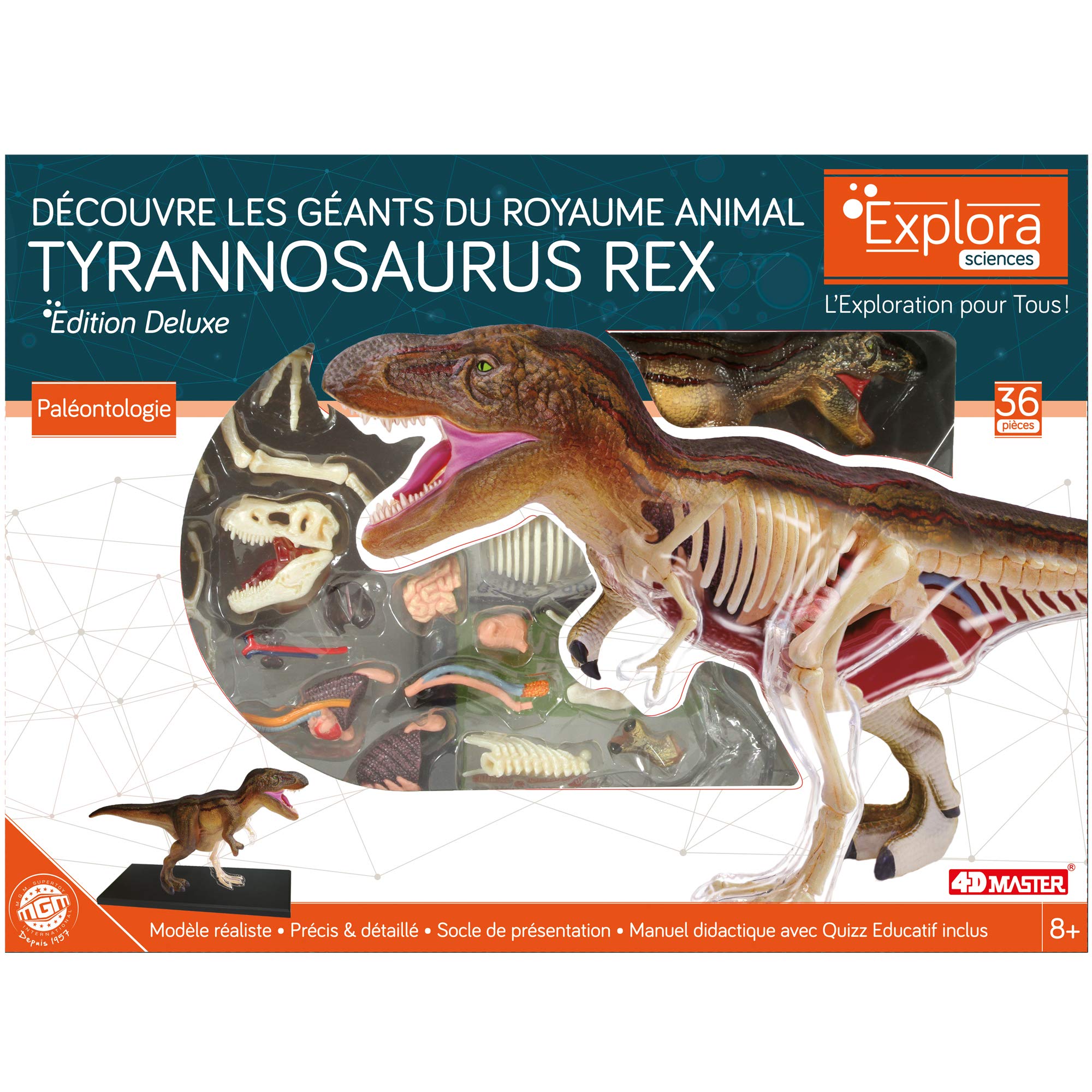 EXPLORA - T-Rex - Paleontología - 546092-36 Piezas - Instrucciones de Ensamblaje y Cuestionario Educativo - Dinosaurio - Kit de Descubrimiento - Juego para Niños - Científico - A Partir de 8 años
