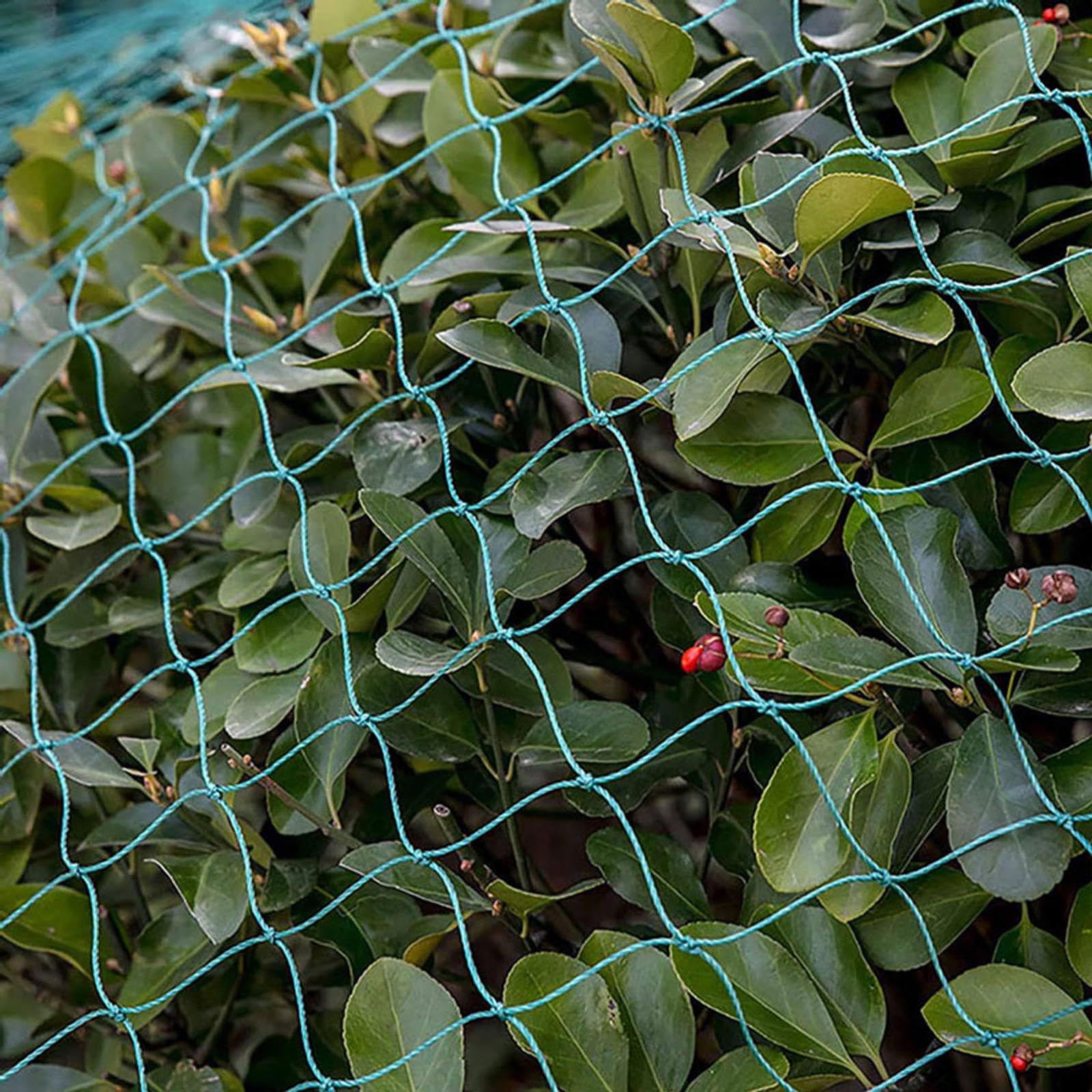 Filet de Jardin Vert Filet Voliere Epais Filet de Pot de Fleur Protège Les Plantes, Les Fruits, Les Arbres,3x10m