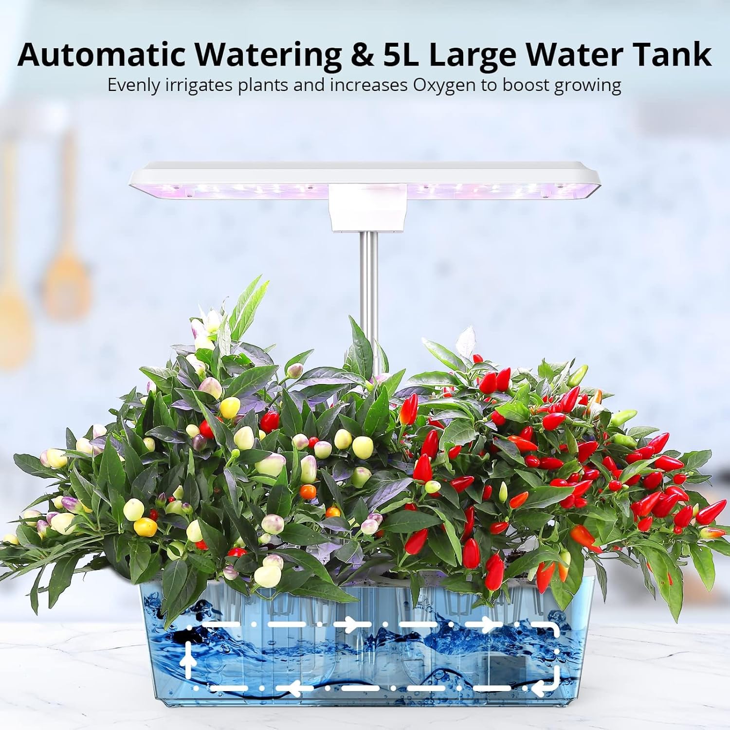 12 Pods Hydroponic System Grow Kit, Indoor Garden Hydroponic Growing System, 24 Inch Planting Height, Large 5L Tank, 5 Professional Plant Lights