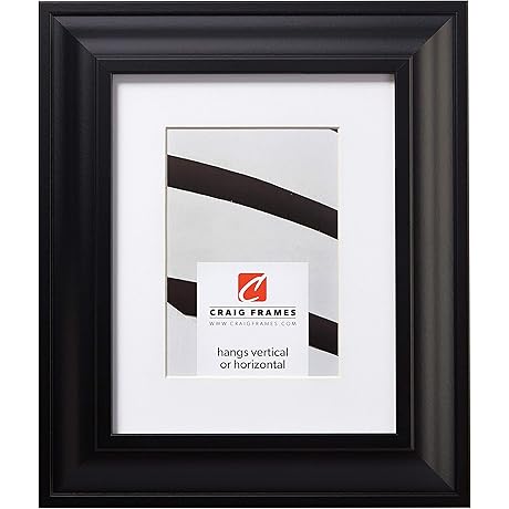 Craig Frames Contemporary Upscale 20 x 24 Black Picture Frame with Mat...