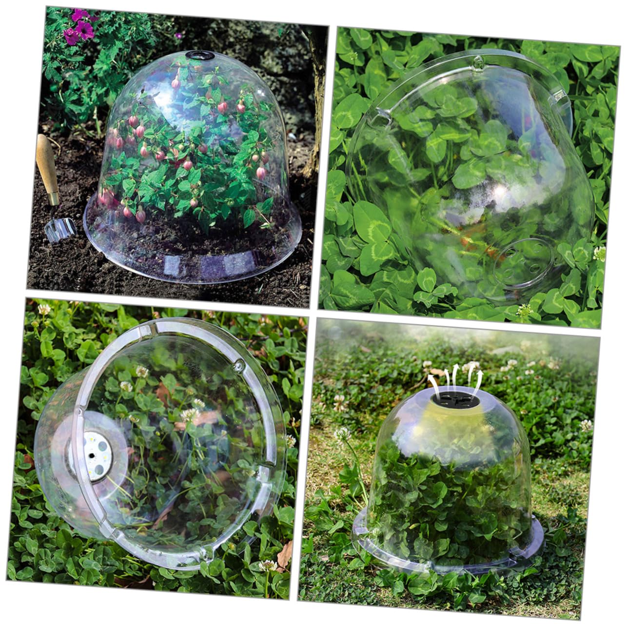 TOYANDONA 6pièces Cloche Plastique Dôme Humidité Couvercle de Jardinière Plastique Bâche de Pépinière Protection pour Plantes Dôme Transparent pour Plantes Cloche de Pépinière Pot Forme