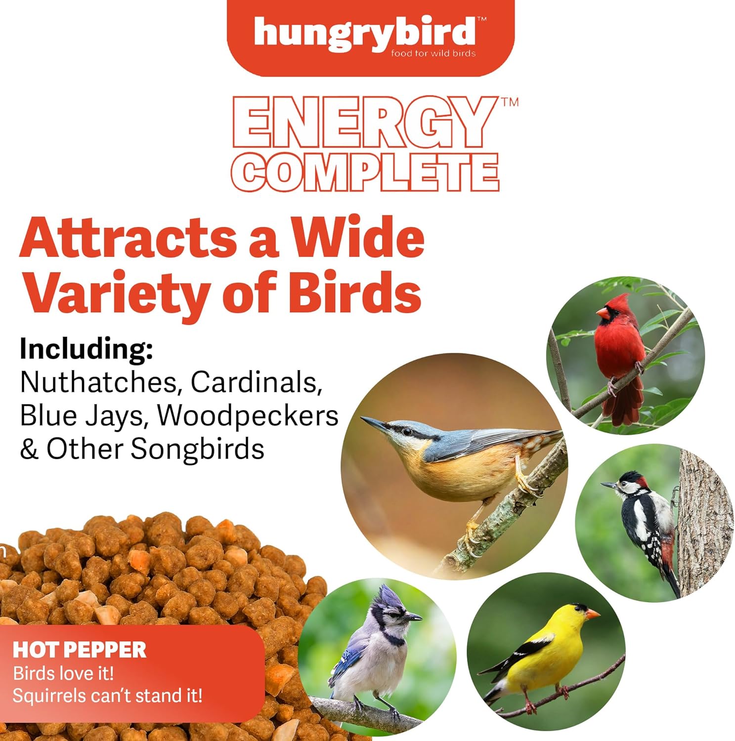 HUNGRYBIRD Energy Complete, 3lbs - High-Protein Hot Pepper Suet Bites for Outside Wild Birds