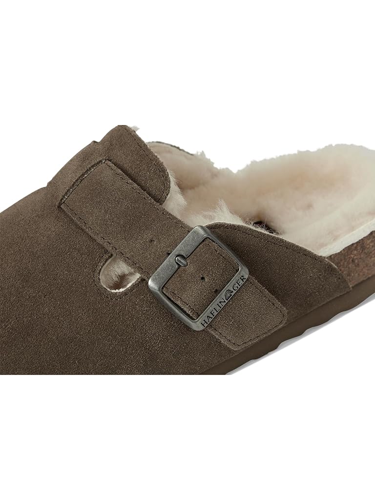 Brown Haflinger Hawk