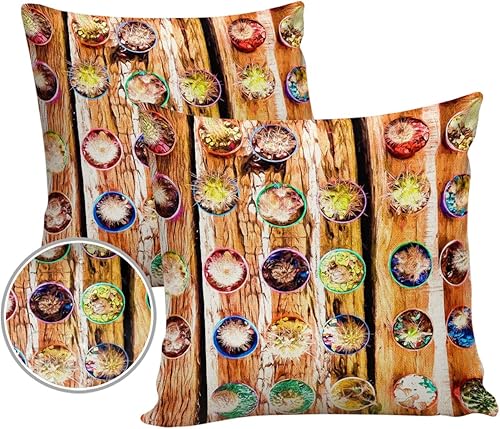 Sunbrella - Juego de 2 fundas de almohada de 18 x 18 pulgadas, impermeables, para exteriores, para sofá, tienda de campaña, patio, plantas coloridas