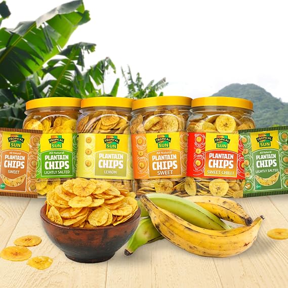 Tropical Sun Salted Plantain Chips, 450g (Pack of 1)