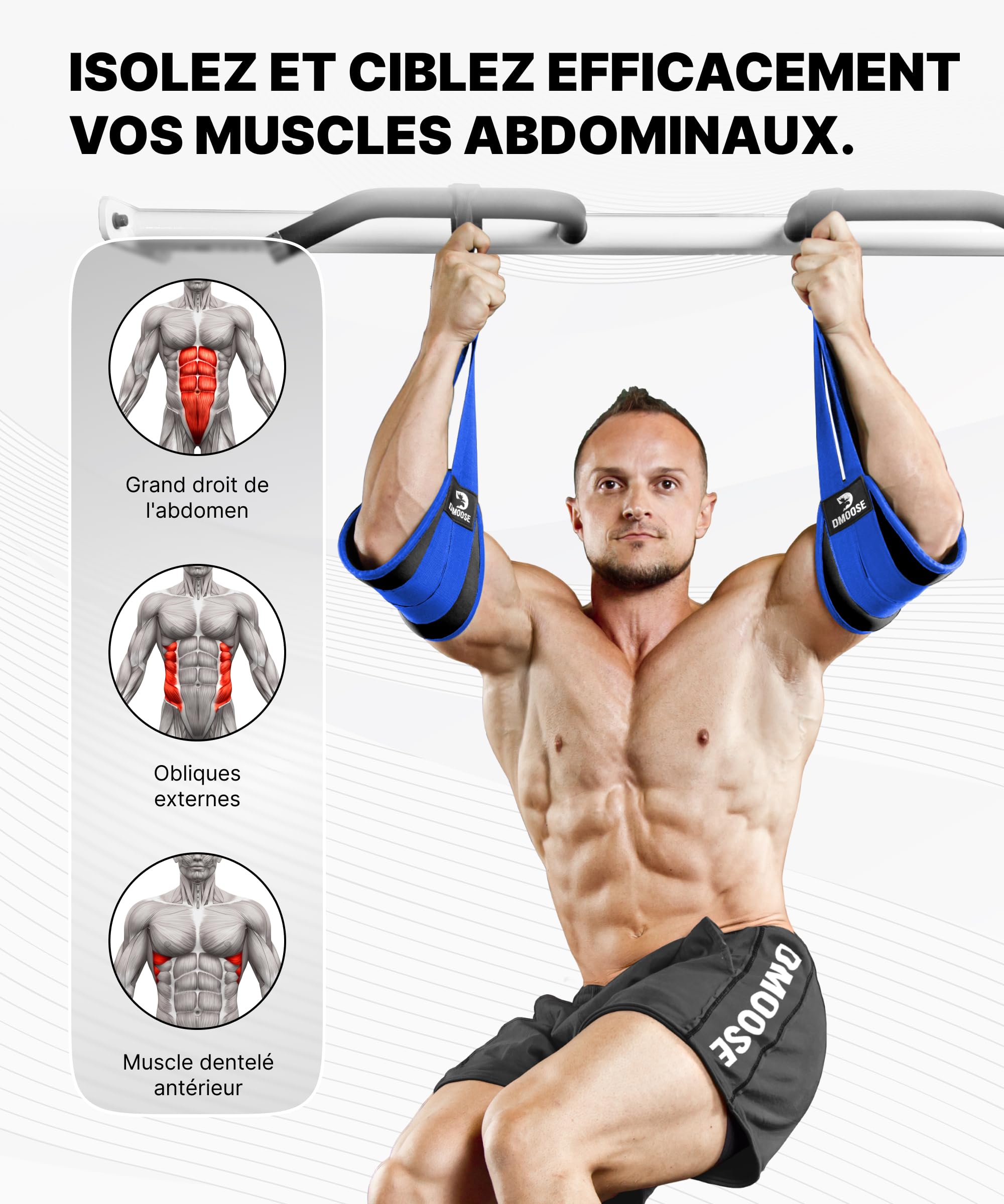 DMoose Fitness AB Straps – Sangles Abdominaux pour Tractions – Équipement de Musculation à Domicile – Entraînement Core et Abdos – Qualité Premium pour Hommes et Femmes