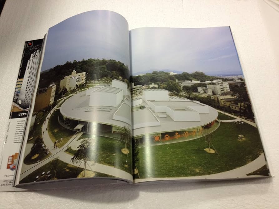 81O2f3ZidqL._AC_UF894,