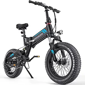 TotGuard Electric Bike,20