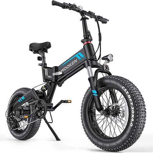 TotGuard Electric Bike,20" Electric Bike for Adults Peak 900W Brushless Motor,20MPH Fat Tire Ebike,Foldable Adult Electric Bicycles with 48V 10Ah Removable Battery,7-Speed,SGS Certified to UL 2849