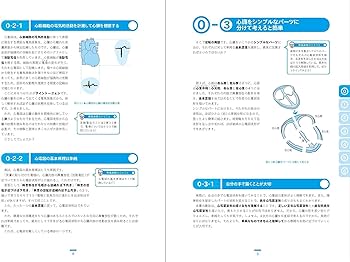 成り立ちから理解する心電図波形 成り立ちから理解する心電図波形: 心筋の活動電位を読み解く | 田中