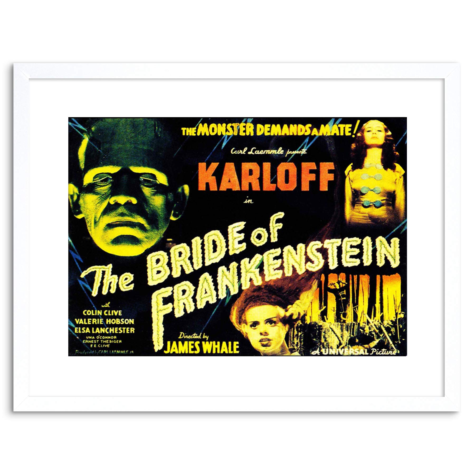 Wee Blue Coo Movie Film Sequel Bride Frankenstein Karloff Whale Horror Framed Wall Art Print