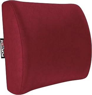 FORTEM Lumbar Support Pillow for Office Chair Lumbar Support Pillow for Car