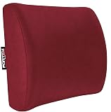 FORTEM Lumbar Pillow