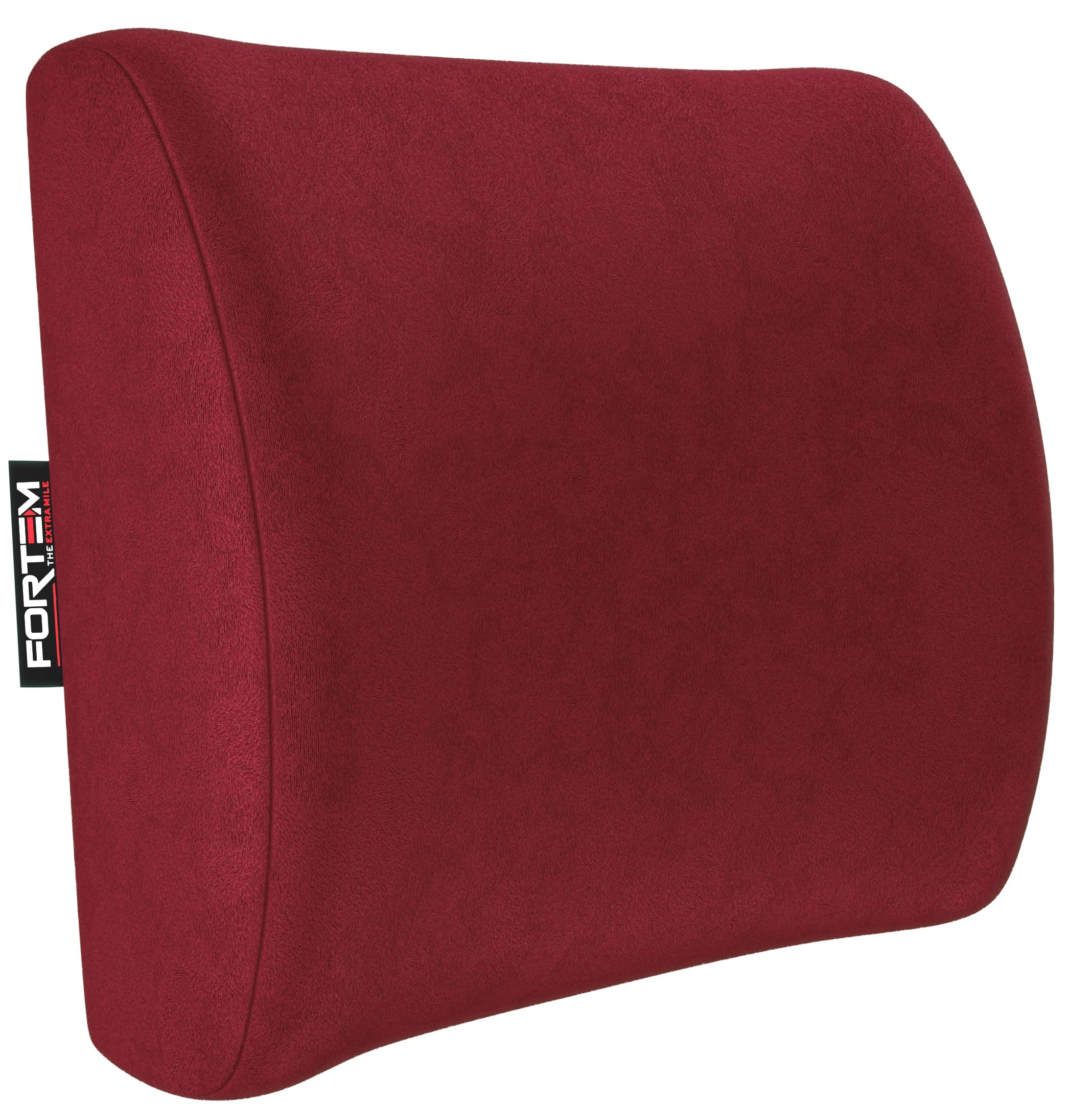 FORTEM Cojín Lumbar Silla Oficina, Cojin Lumbar Coche, Respaldo Lumbar para Silla de Juegos, Cojin Ergonomico, Cojín de Espuma Viscoelástica, Cojín para Silla de Escritorio, Funda Lavable
