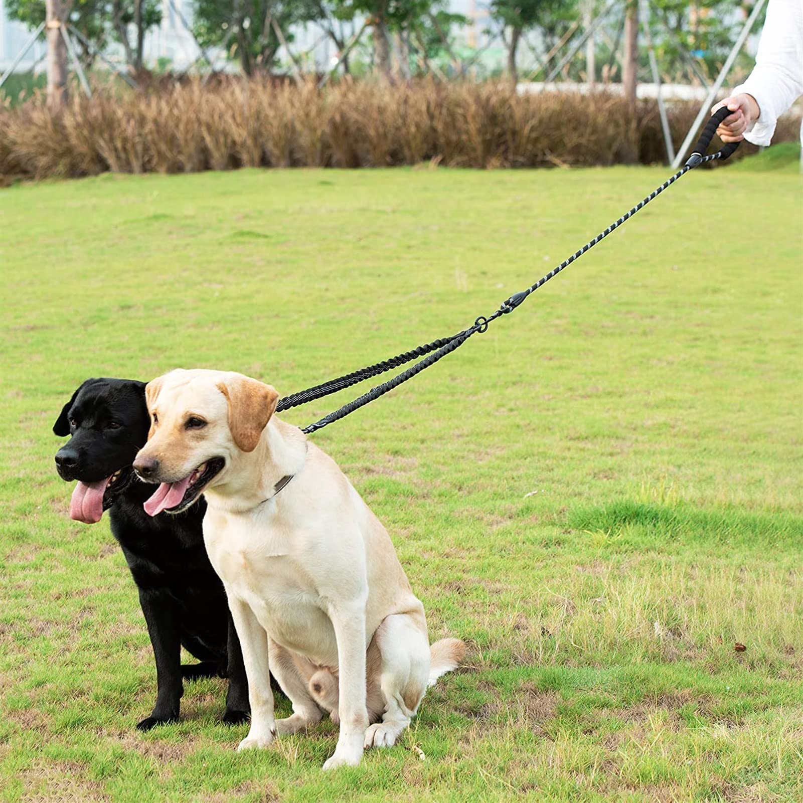 2 Two Dods Leash Coupler Double Twin Lead Walking Hundeleinen (Color : Black)