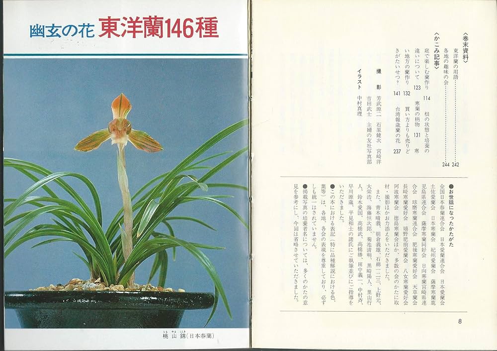 東洋ラン・花物 (1966年) Amazon.co.jp: 東洋蘭―花物と柄物の育て方 (1979年) (カラー園芸入門