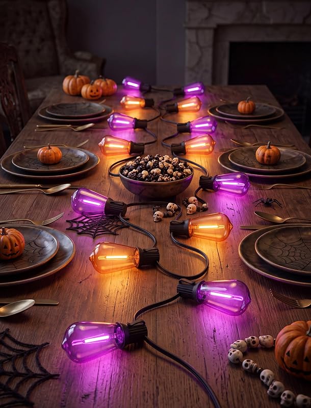 GOOTHY 10FT ST40 10 LED Halloween Orange – Patio porch and garden use