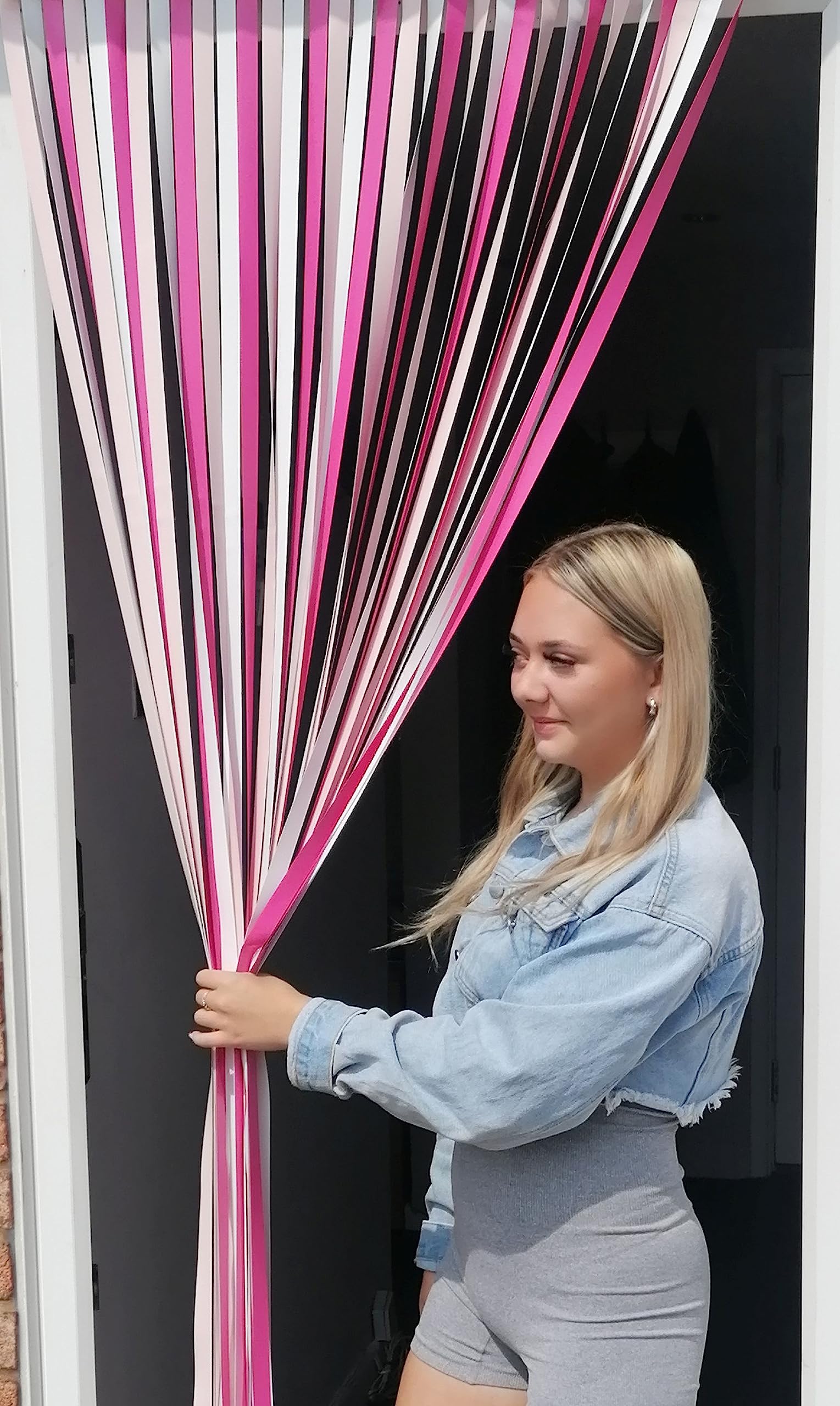 Holland Plastics Original Brand Heavy Duty Bug Fly Strip Door Blind - 100Cm wide x 200cm long Wide. Complete with Self adhesive hooks for plastic frames- 'Ballet Dancer'