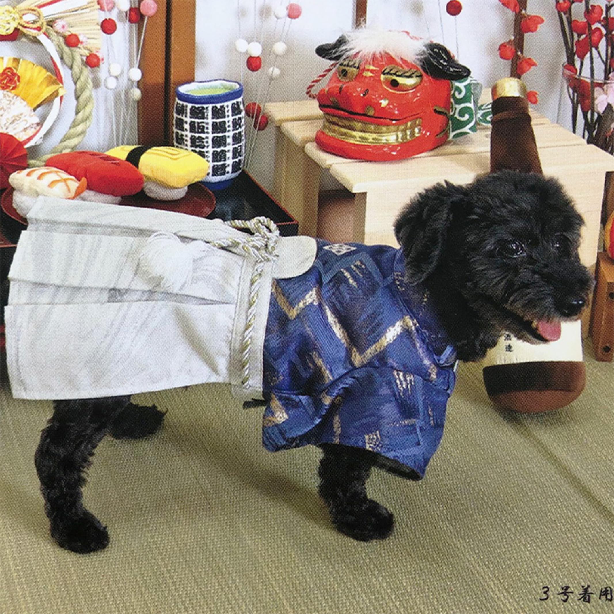 Amazon | リアル 犬服 はかま 梵天 袴 大型犬 犬 着物 犬用 和服