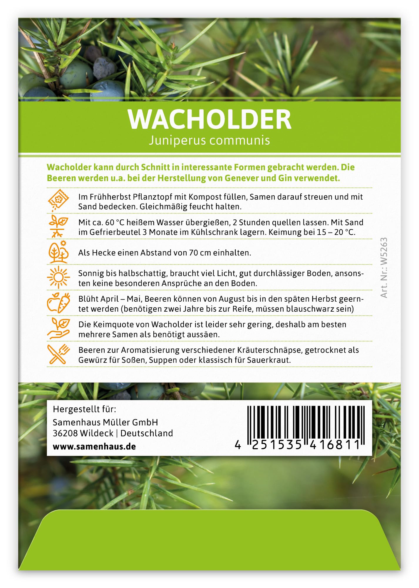 FLORTUS W5263-100x Wacholder (Regionale Sorte Lüneburger Heide) (100 Tütchen) (Saatgut für Werbezwecke)