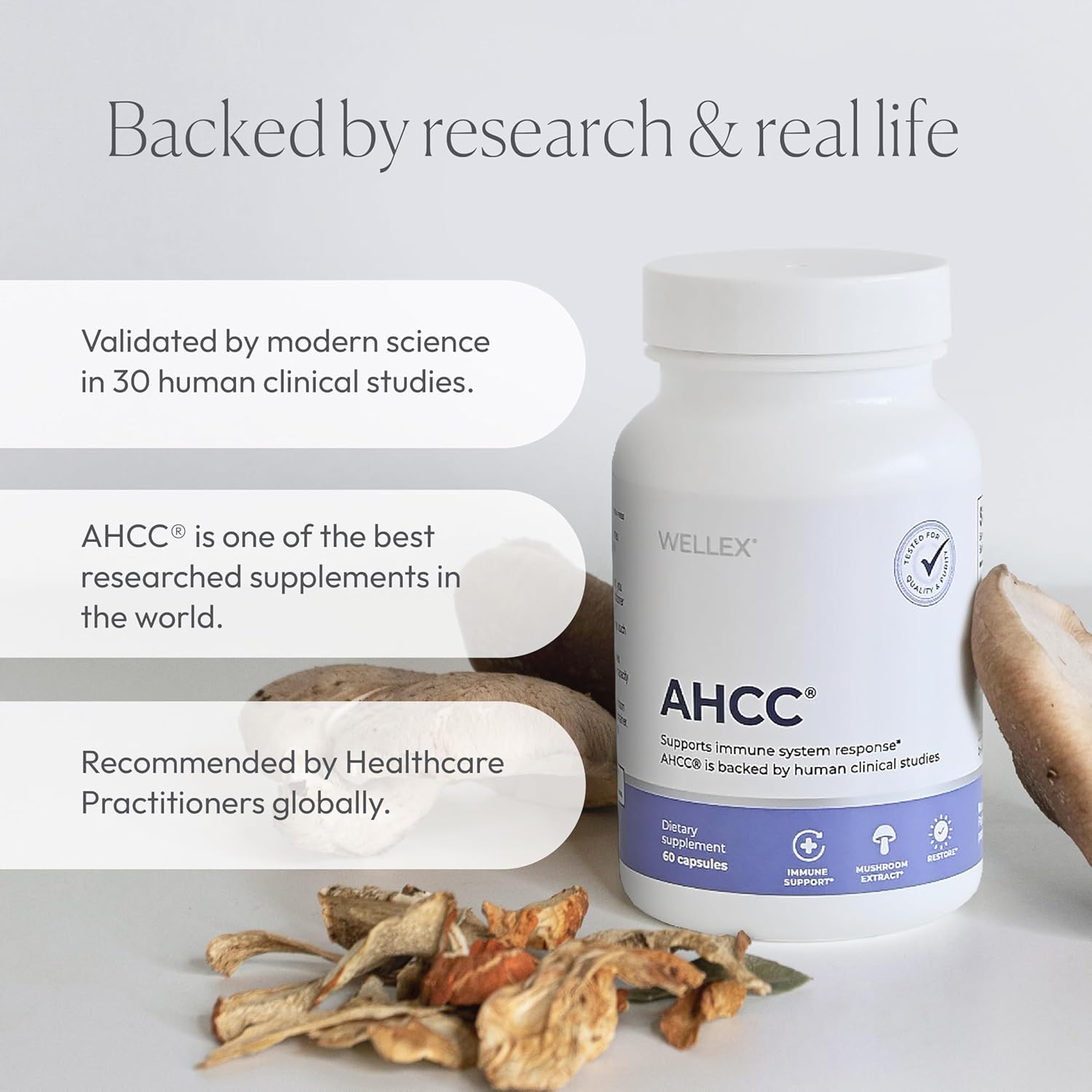Papillex AHCC Supplement - Maximum Strength - Natural Immune Support Extract - Maintains Natural Killer Cell Activity - 20+ Human Research Studies - 60 Veggie Capsules (1 Pack)