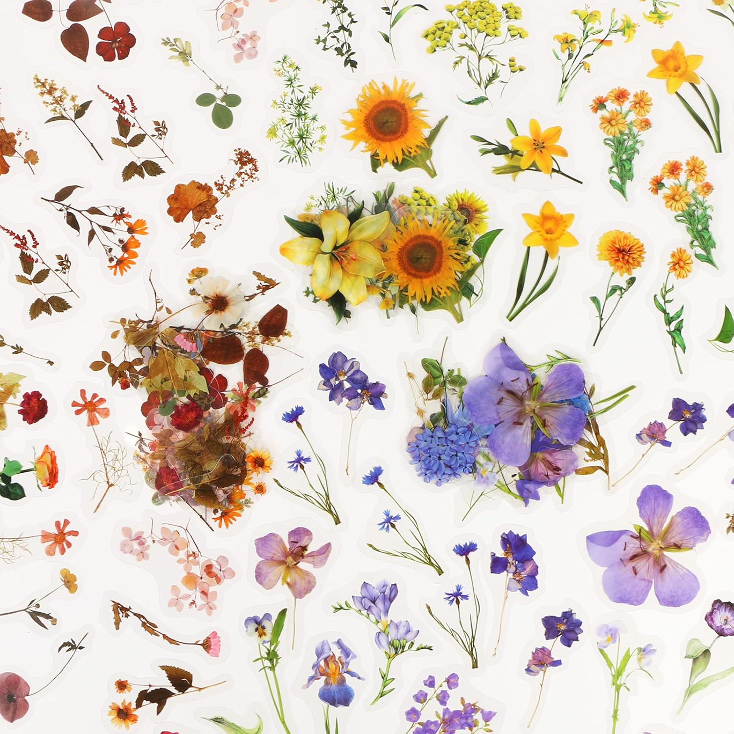 Yovoy 1枚 ステッカー 手帳素材パック 手帳用シール おしゃれ 植物 花 フラワー ドライフラワー かわいい デコレーションシール メモ用紙 Diy 手帳素材 手作り 日記 ジャーナル 装飾用品 3種類 Faz Co Zm