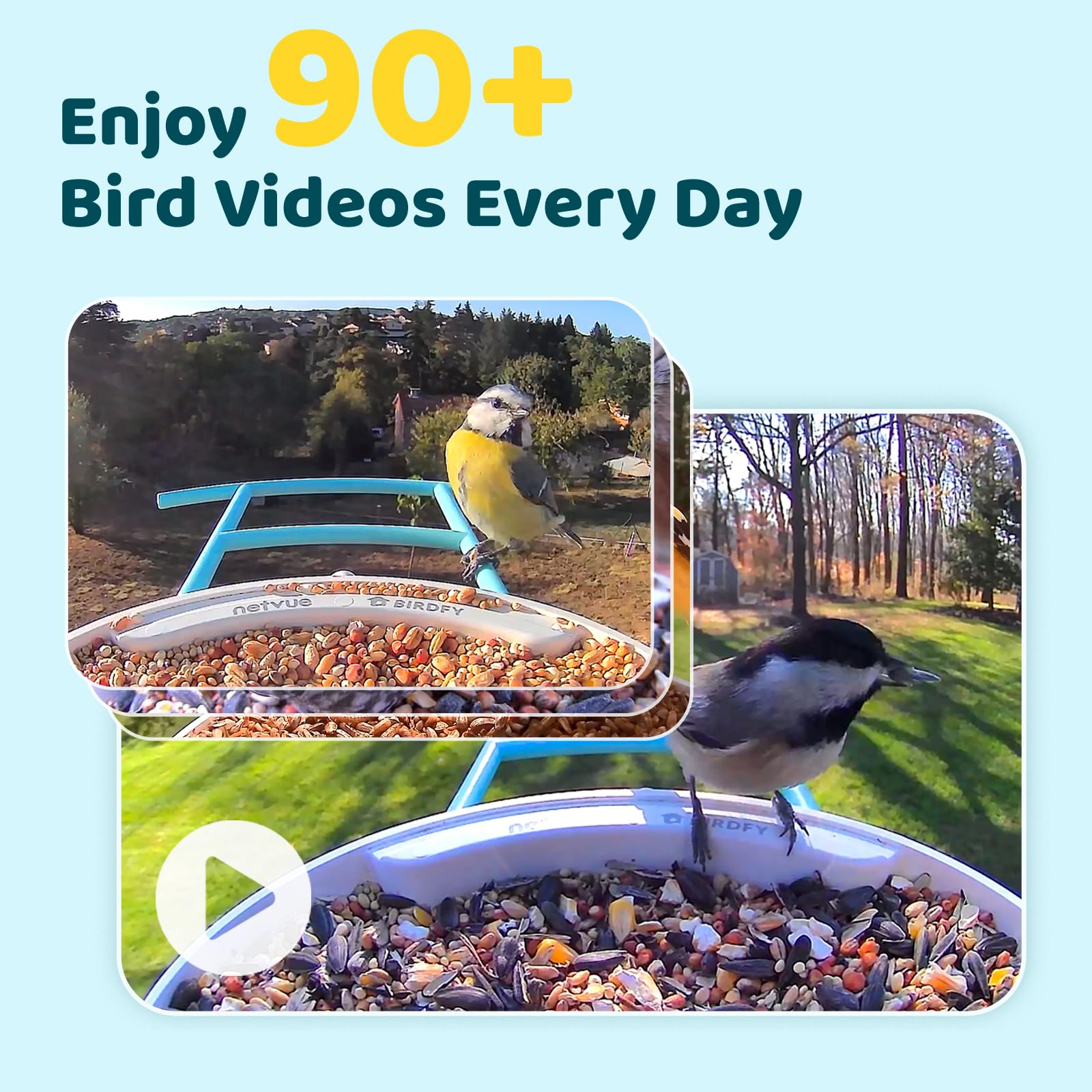 NETVUE Birdfy Smart Vogelfutterhaus mit Kamera, Automatische Aufnahme & Speichern von Vogelvideos, Vogelbeobachtungskamera mit Klarer Nachtsicht