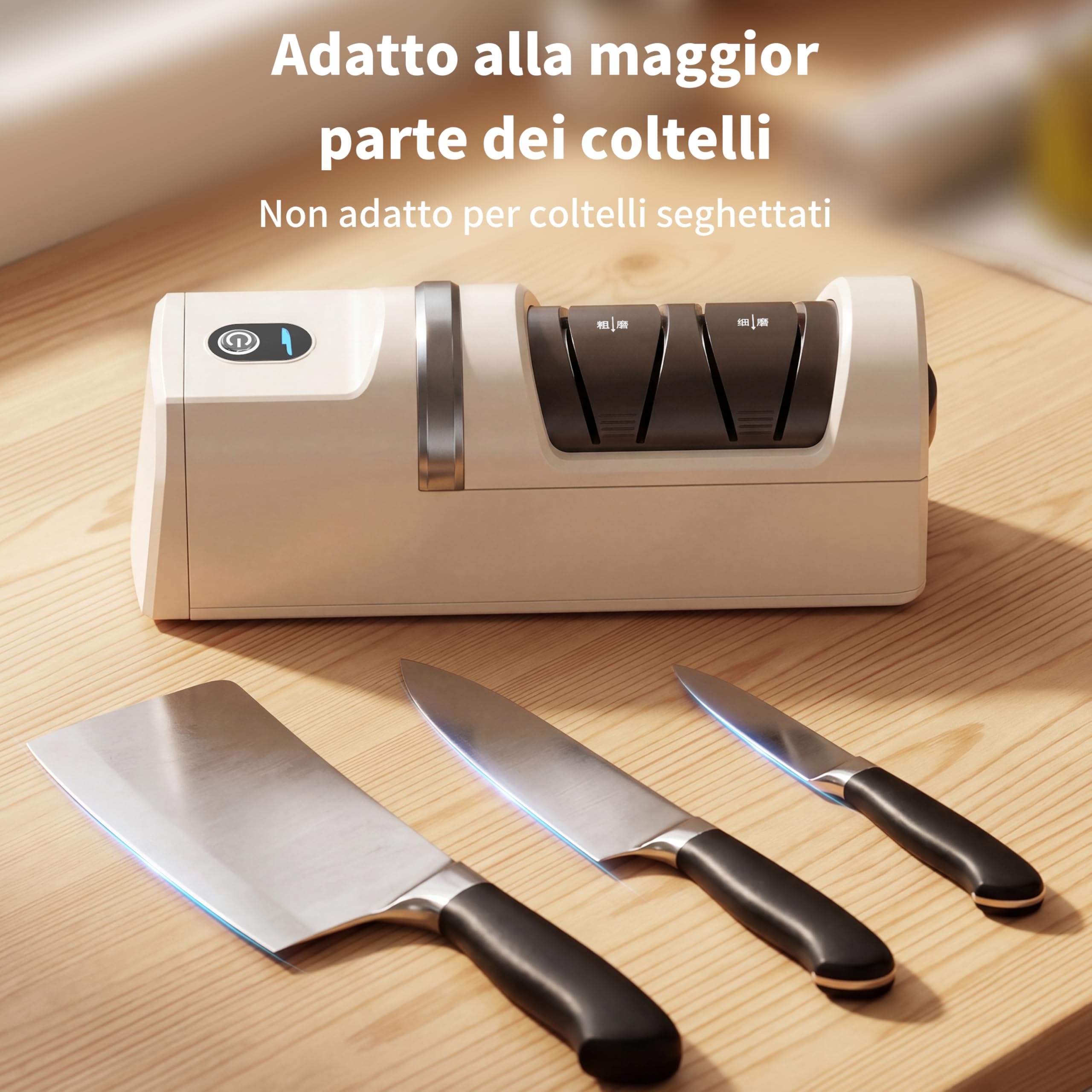 Affilacoltelli elettrico, Sistema di affilatura coltelli 5 in 1 con 3 velocità, affilacoltelli professionale ricaricabile con diamante per affilatura grossolana e fine (bianco)