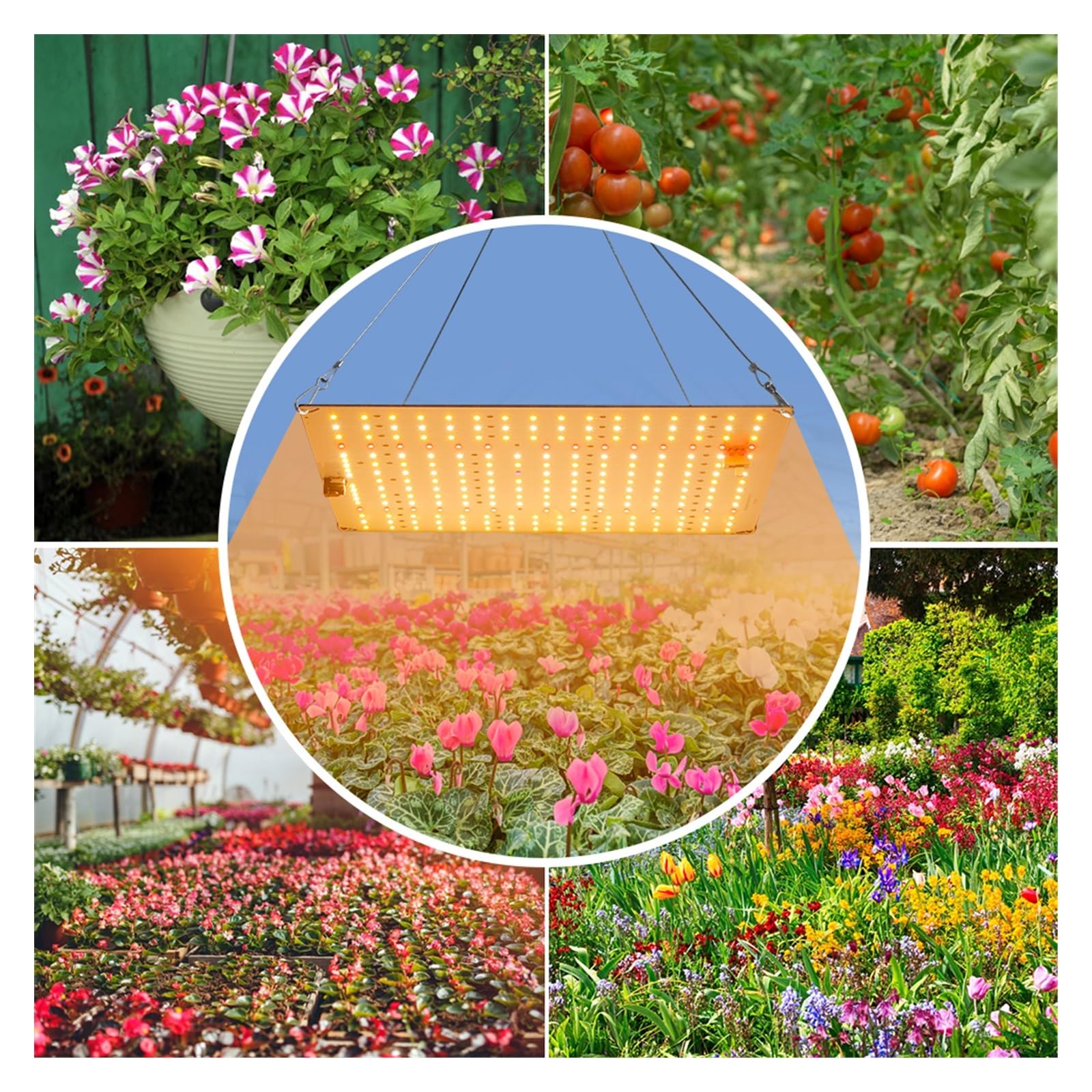 Lámpara de Cultivo, 3000W Led Grow Light Phyto Lámpara for Plantas Bombilla Tablero de Espectro Completo de Cultivo hidropónico Invernadero Flores Semillas(C-3000W Two Modes)