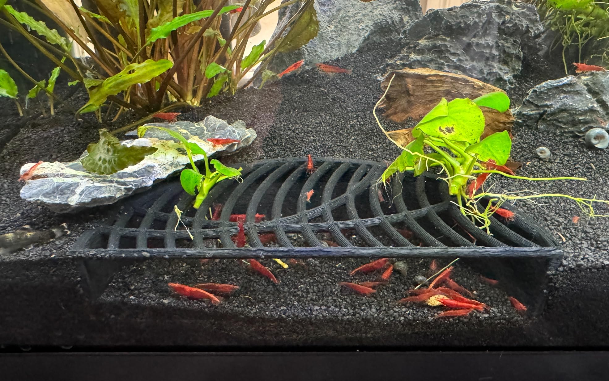 LifeWithPets Shrimp Breeding Hide | Shrimp Cave | Shrimp Hide | Tunnel | Black